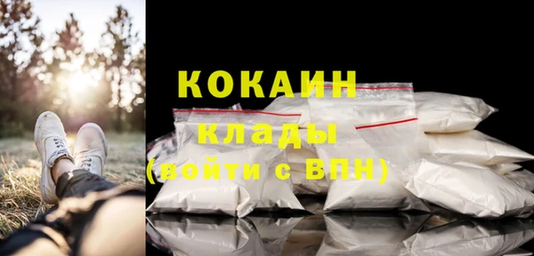 трава Аркадак