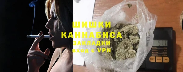 трава Аркадак