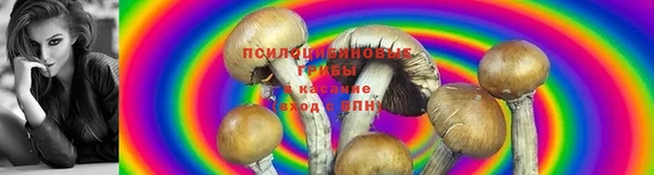 метадон Армянск